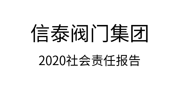 2020年社会责任报告